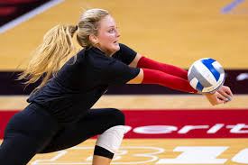 Image result for Deverra burchellii