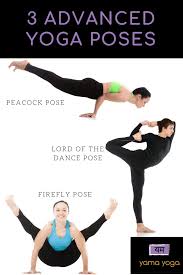 Yoga Pose Levels Peacock Pose Yoga Yoga Poses Advanced Advanced Yoga
