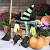 Diy Halloween Witch Decorations For Outdoors