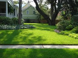 Choosing The Right Grass For Shade Sod Solutions