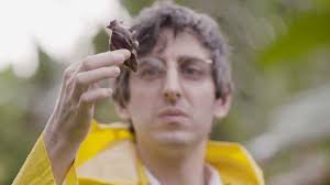 The Cactus Apprentice