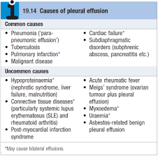 A pleural effusion is the accumulation of fluid in the pleural space. Pleural Effusion Rimikri Med
