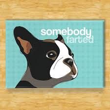 Boston Terrier Magnet Somebody Farted Boston Terrier Gifts Boston Terrier Funny Boston Terrier Art Boston Terrier