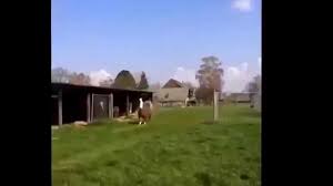 I dont post on social media but i lurk every now and then mainly just celebrity gossip pages. Y All Gone Make Me Lose My Mind Youtube