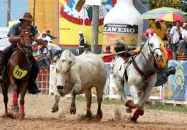 Resultado de imagen para IMAGENES DE FIESTAS EN EL LLANO