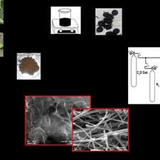 Logam dengan senyawa kromium sebesar 10,5% dari total kontain persenyawaan ini, juga populer sebagai logam yang memiliki performance yang sangat elegan dan. Rika Taslim S Research Works State Islamic University Of Sultan Syarif Kasim Riau Pekanbaru And Other Places