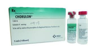 Image result for Chorionic Gonadotropin Injectable Solution