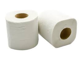 Folding layers of toilet paper together will offer maximum absorbency; Maskit Tampon And Pad Disposal System Wants You To Buy A Little Bag For Your Period