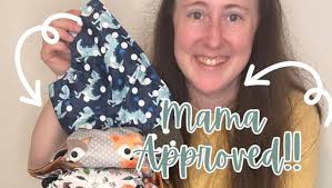 Amazon.com: Sigzagor 3 AIll in One Cloth Diapers Nappies for Night AIO Sewn  in Insert Reusable Washable (Dinosaur Pack) : Baby