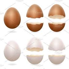 Broken Eggs Cracked Broken Egg Egg Shells Eggs