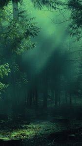 Nature Wallpapers Iphone 8 7 6s 6 For Parallax Desktop Backgrounds Hd Pictures And Images