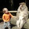 In the monkey forest, there are knowledgeable, bilingual guides to help answer any questions you may have during your trip. 1
