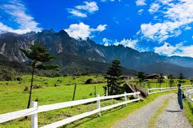 From the latest financial highlights, desa cattle (sabah) sdn. 4 Days 3 Nights Kundasang Desa Dairy Farm Kinabalu National Park Canopy Walkway Island Hopping Day Trip For Malaysian Only Tourplus Tickets Attractions