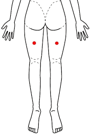必見！坐骨神経痛を和らげるツボ！おかだ鍼灸院