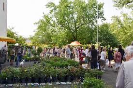 We have reviews of the best places to see in goettingen. Der Binger Gartenmarkt Lockte Am Muttertags Wochenende Zahlreiche Besucher An Rheinhessen News