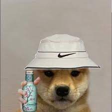 Pin By Jabotardo On Pics Dog With Hat Dog Pfp Dog Icon