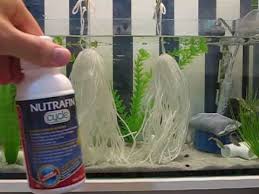 With the proper assembly of tanks, pumps, piping and. 10g Guppy Breeding Tank Inexpensive Simple Update 1