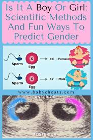 Pin On Pregnancy Stuff