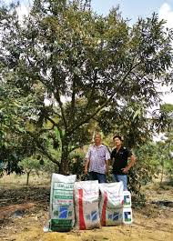 Berikut adalah jarak tanam durian yang sesuai mengikut bentuk. Membekalkan Tanaman Durian Dengan Baja Cecair Dari Jerman Peningkatan Daya Tahan Terhadap Iklim Kering Yang Melampau Agrobridge