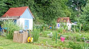 Kleingartnerverein Marburg Der Weg Zum Eigenen Garten Gut Leben In Der Marburger Region