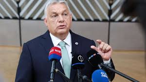 Myriam tadjine onlyfan i always liked tasting new dishes,