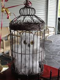 Hedwig Goruntuler Ile Baykus