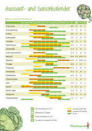 Es gibt keine wissenschaftliche grundlage. Aussaatkalender 2020 Pflanzkalender Fur Gemuse Pdf Download