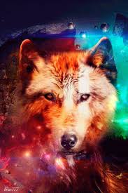 We have an extensive collection of amazing background images carefully chosen by our community. Google Fantasy Wolf Wolf Wallpaper Wolf Dog