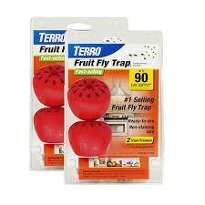 terro fruit fly trap looks like an