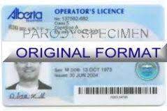 Alberta Fake Driver License Format Id Cards Designs Templates Novelty Software Card Hologram Drivers License Licensing Driver License Online