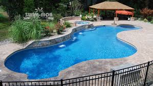 Free Form Pool Designs Swim Mor Pools And Spas