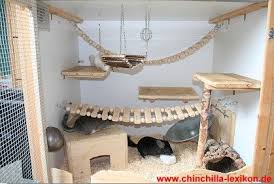 Le Chinchilla Chinchilla Lanigera Rongeurs Nac Et Oiseaux Chinchilla Cage Gerbille Cage Chinchilla