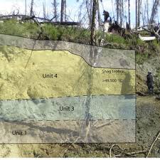 That theory began to change in 2008 when miners uncovered bones, preserved in the permafrost to geneticists at the university of california santa cruz who were assisted by a statistician and a geologist. Pdf Last Interglacial Western Camel Camelops Hesternus From Eastern Beringia