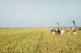 Indonesia Sebagai Negara Agraris Apa Artinya Halaman All Kompas Com