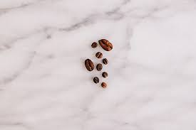 Image result for Coffea racemosa