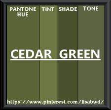 Pantone Seasonal Color Swatch Cedar Green Pantone Pantone Color Season Colors