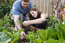 Due to social distancing and advice to stay at home, the nation's interest in gardening has soared! Midwife And Life The Home Gardening Hamper 5 Essentials For The First Time Farmer Midwife And Life