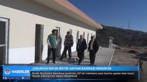 Cukurova Nin En Buyuk Hayvan Barinagi Mersin De Youtube