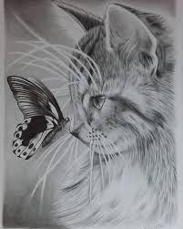 Cat And Butterfly A4 Print Etsy In 2021 Realistic Animal Drawings Animals Pencil Drawings Of Animals