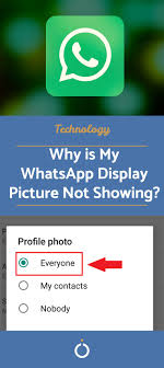 You can simply uninstall the app and then download its latest version if you still experience 'whatsapp not working on android' issue, you can perform a restart as well. Why Is My Whatsapp Display Picture Not Showing Picture Display Pictures Make Your Avatar