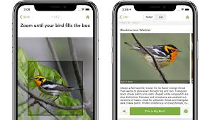 Must have birding apps for iphone, ipad, android in 2021 including peterson, sibley, audubon, national geographic and id by song bird watching apps. Merlin Bird Id Free Instant Bird Identification Help And Guide For Thousands Of Birds