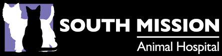 Anesthesia, dentistry, wellness, orthotics and prosthetics. South Mission Animal Hospital Client Focused Pet Care