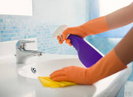 cleaning the sink? luna clean