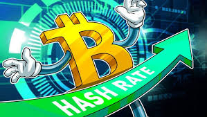 Just like ripple, litecoin showed great performance in. Bitcoin Network Hash Has Reached Its Maximum Value 123 4 Eh S New Day Crypto