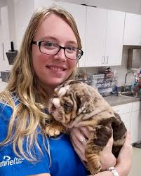 Bayside Animal Medical Center