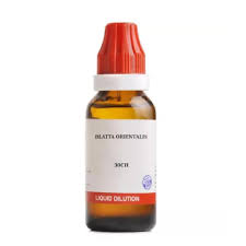 Image result for Salacia orientalis