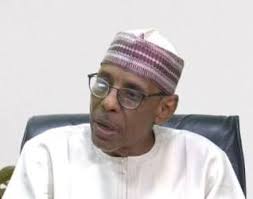 Datti-Ahmed's brother accepts to serve as VP's political adviser