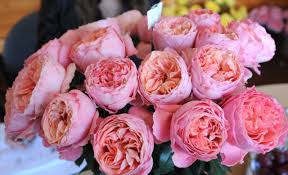 Sale at jet fresh flowers miami, florida, united states 235 connections. Jet Fresh Flowers Jetfreshflowers Twitter