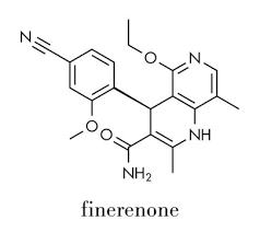 Image result for Finerenone
