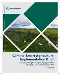 If yes, here is a sample castor farming business plan template & free feasibility report. Climate Smart Agriculture Implementation Brief A Summary Of Insights And Upscaling Opportunities Through The Africa Climate Business Plan